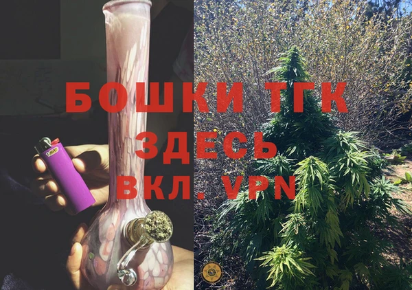 индика Коряжма