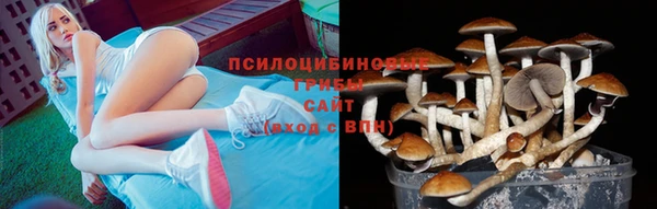 индика Новосибирск