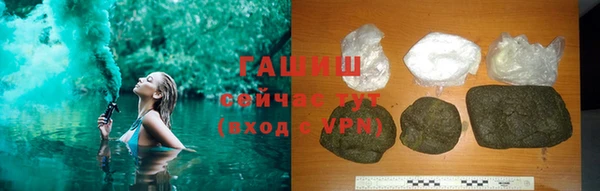 индика Коряжма