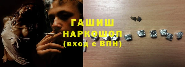 индика Коряжма
