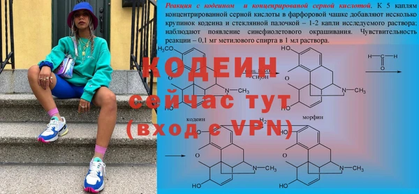 сатива Козловка