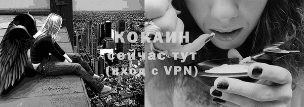 сатива Козловка