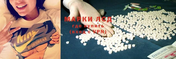 сатива Козловка