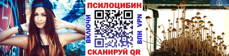 Галлюциногенные грибы прущие грибы  Купить  Калязин 